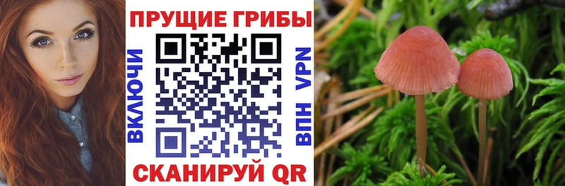 Галлюциногенные грибы ЛСД  Туран 